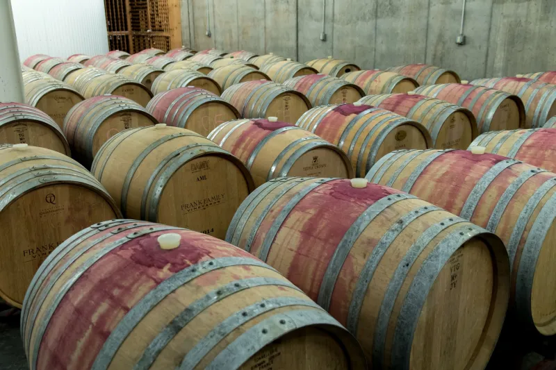 Cinque famiglie, cinque visioni: i piccoli produttori che scrivono il futuro del vino italiano