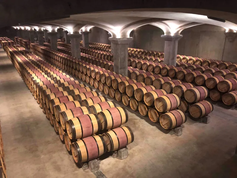 Vino naturale: radici antiche o tendenza del momento?