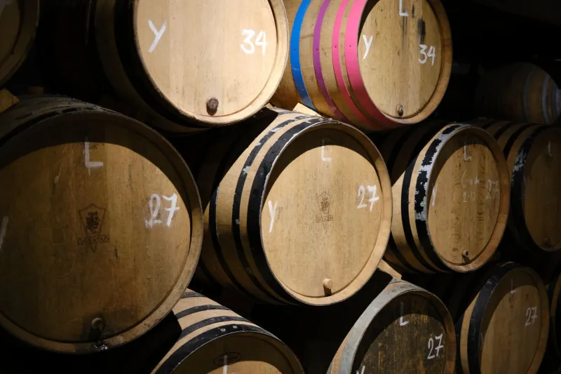 Il linguaggio segreto della cantina: gesti antichi e intuizioni moderne nella vinificazione artigianale