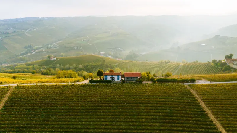 Oltre le grandi firme: il nuovo volto delle bollicine italiane di carattere