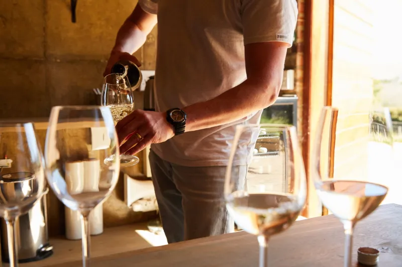 Il grado perfetto: come la temperatura di servizio rivela l'anima di ogni vino italiano