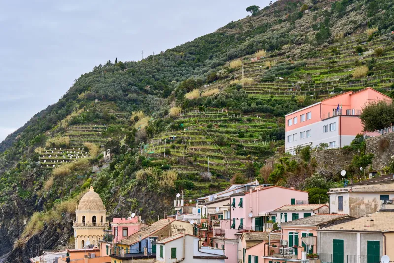 Quando il vino sa di mare: i grandi vigneti costieri italiani tra salsedine, vento e identità territoriale