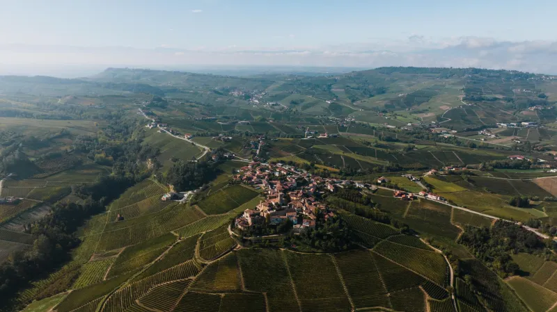 Vite, vino e video: come i produttori italiani conquistano le nuove generazioni con il racconto digitale